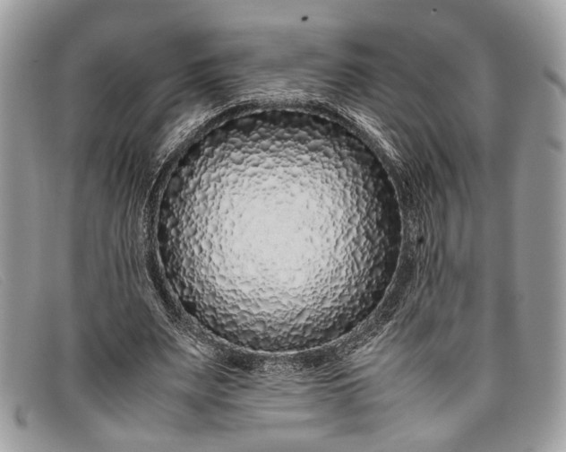 X0000098020487200804111302