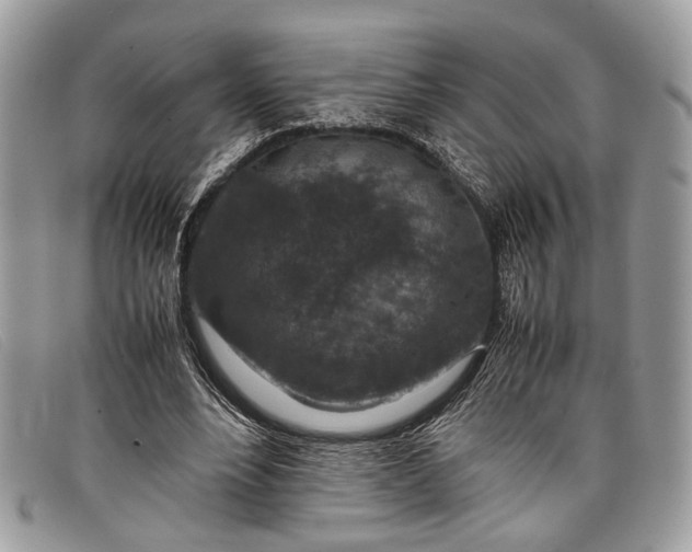 X0000098020488200804111302