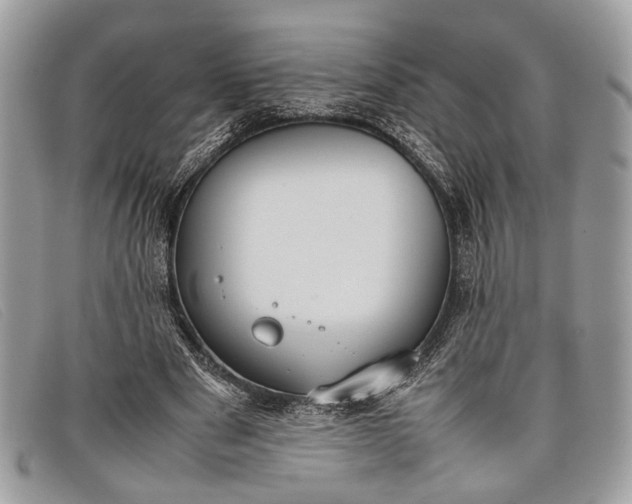 X0000098020489200804111302