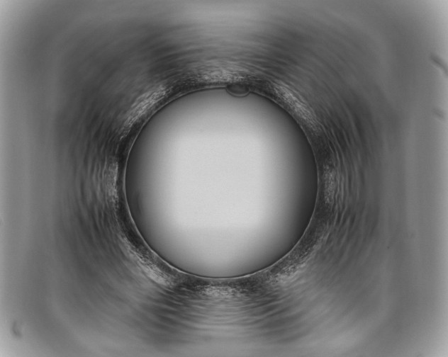 X0000098020490200804111301