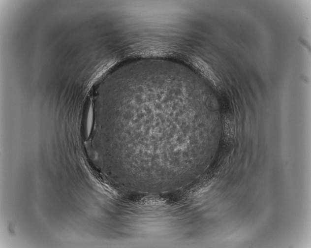 X0000098020491200804111301