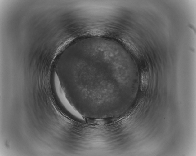 X0000098020492200804111301