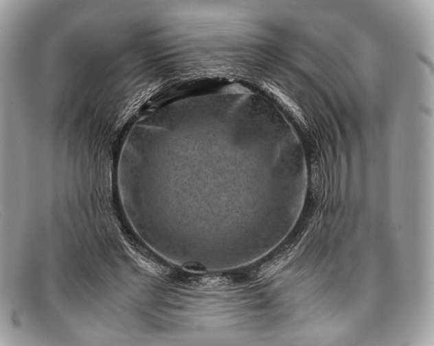 X0000098020493200804111301