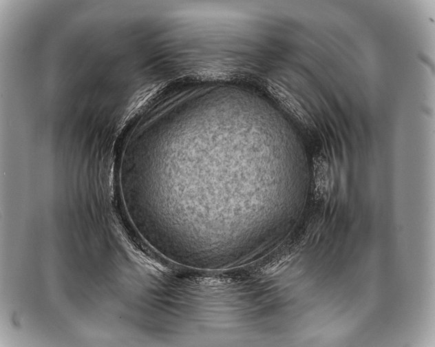 X0000098020494200804111301