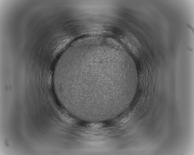 X0000098020495200804111301