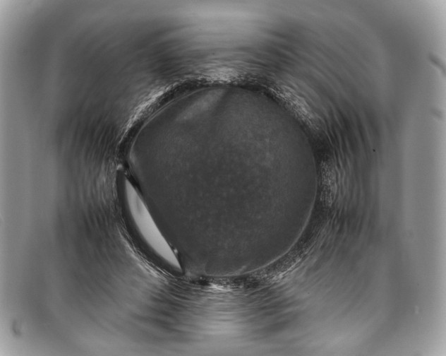 X0000098020496200804111301