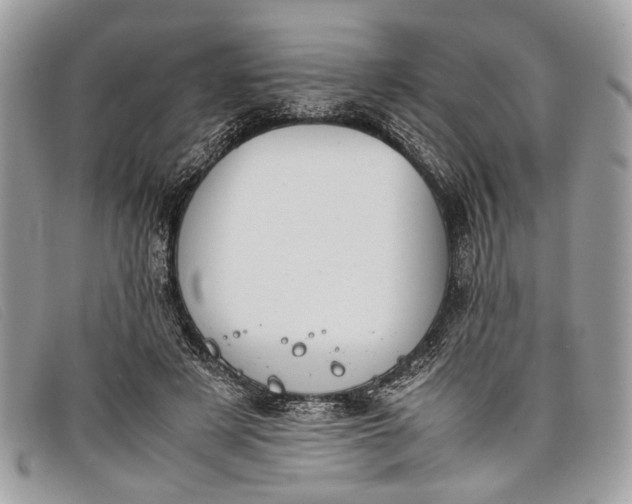 X0000098020497200804111301