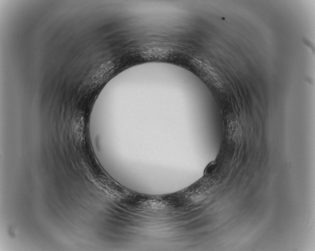 X0000098020498200804111301