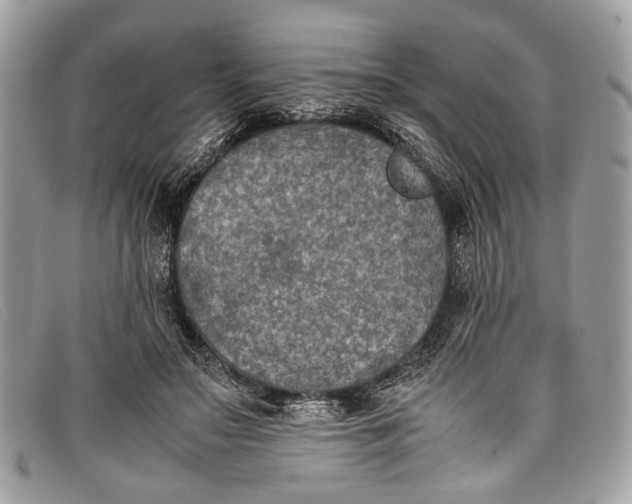 X0000098020499200804111301