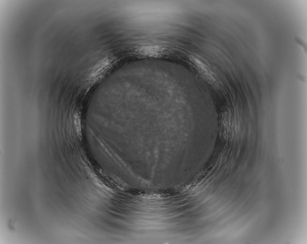 X0000098020500200804111301