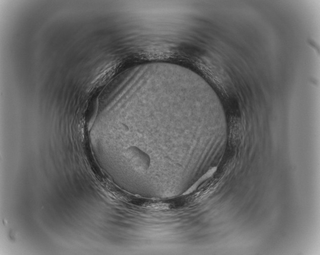 X0000098020501200804111301