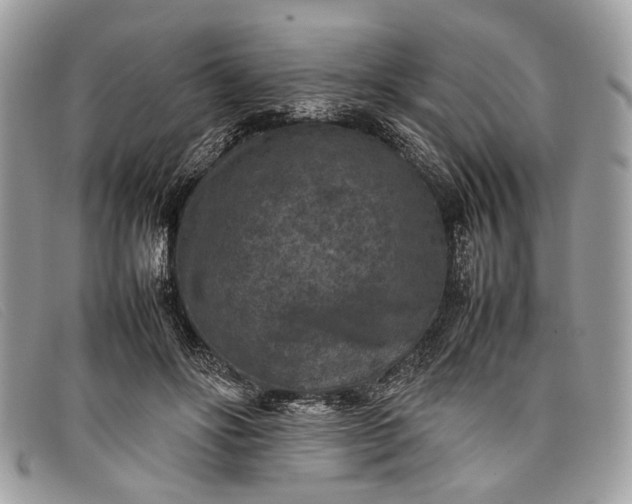 X0000098020502200804111301