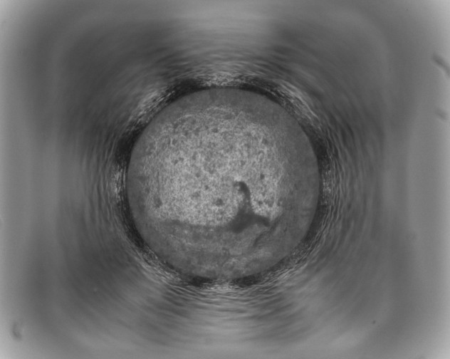 X0000098020503200804111301