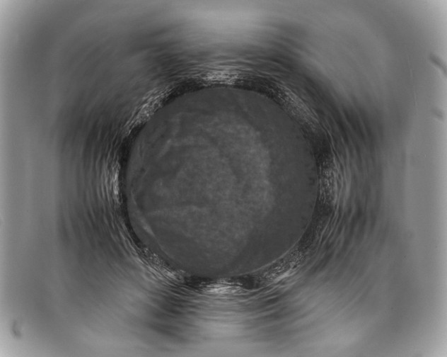 X0000098020504200804111301