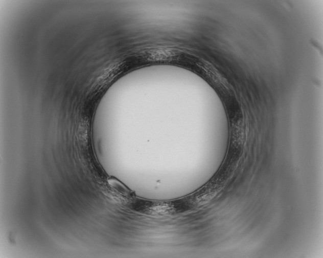 X0000098020505200804111301