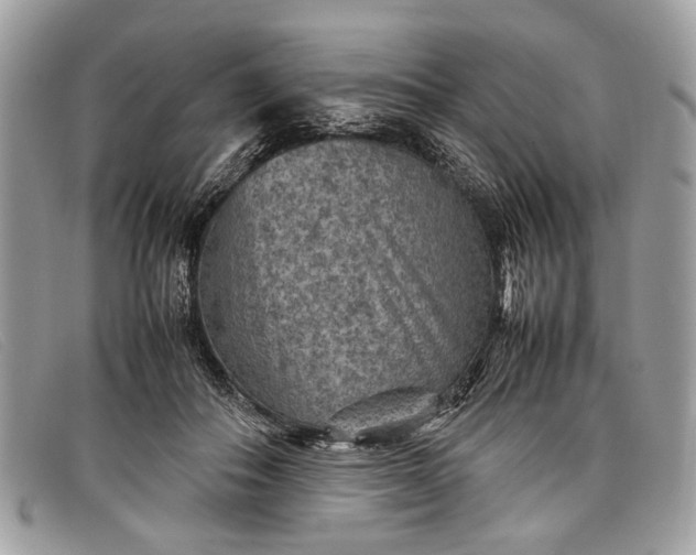 X0000098020506200804111301