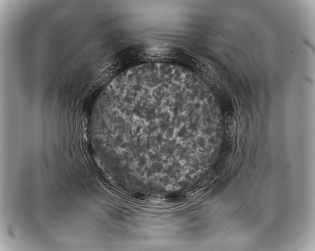 X0000098020507200804111301