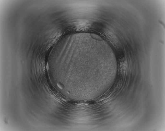 X0000098020508200804111301