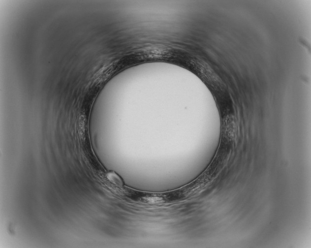 X0000098020509200804111301