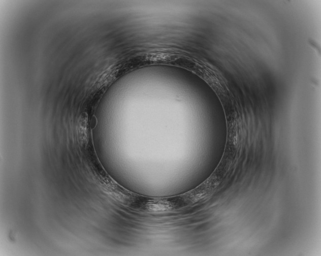 X0000098020510200804111301