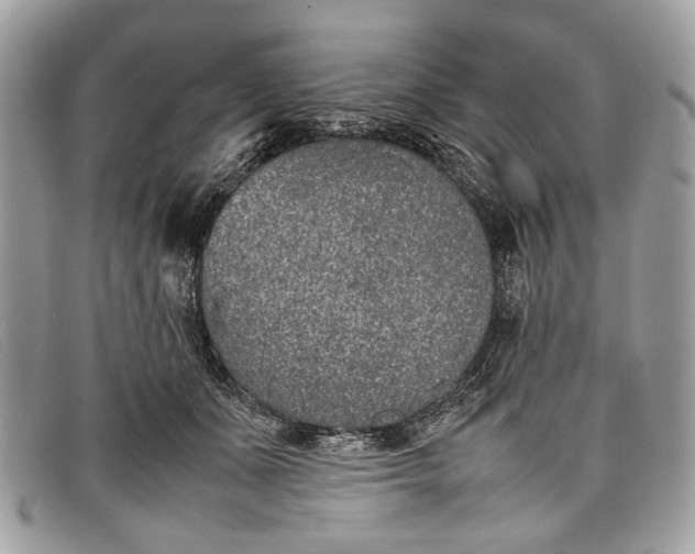 X0000098020511200804111301