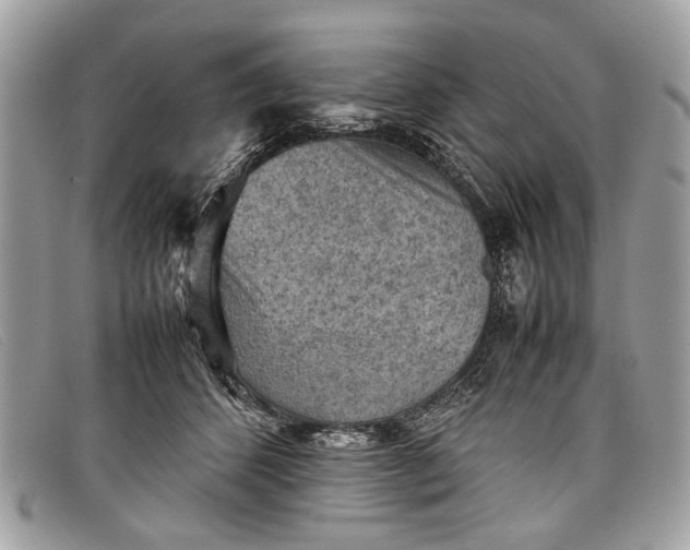 X0000098020512200804111301