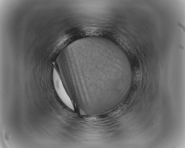 X0000098020513200804111301