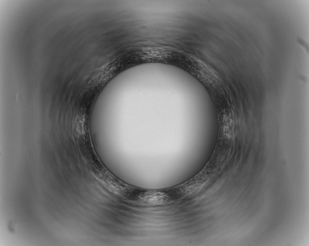 X0000098020514200804111301