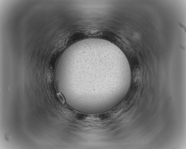 X0000098020515200804111301