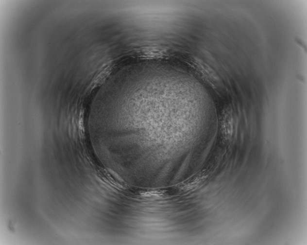 X0000098020516200804111301