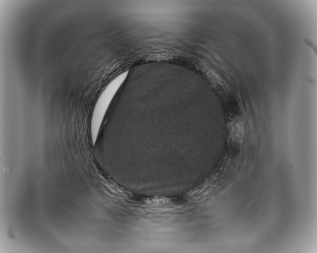 X0000098020517200804111301