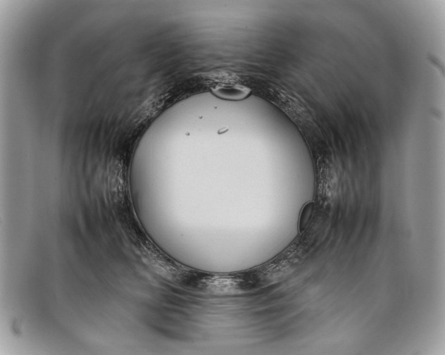 X0000098020518200804111301