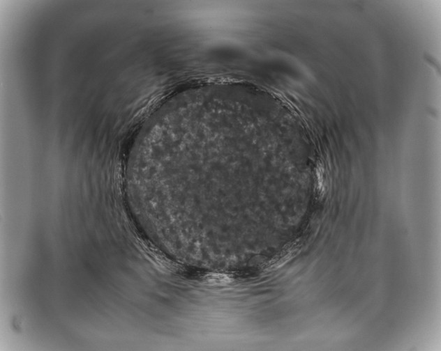 X0000098020519200804111301