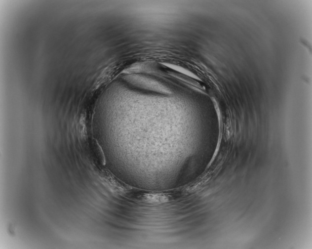 X0000098020520200804111301