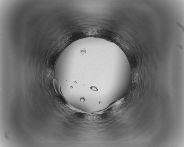 X0000098020521200804111301