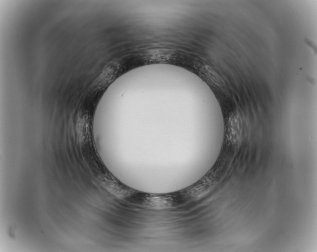 X0000098020522200804111301