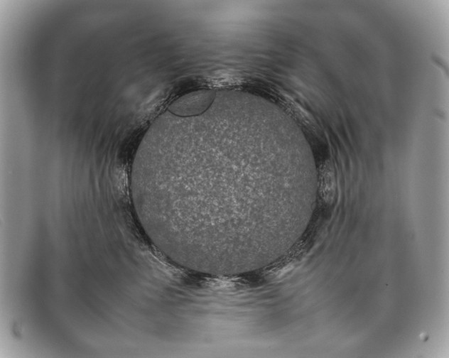 X0000098020523200804111301