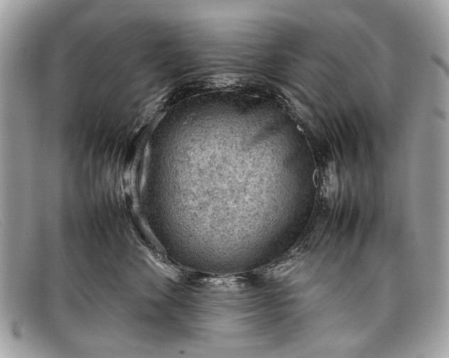 X0000098020524200804111301