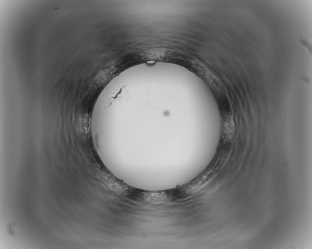 X0000098020525200804111301