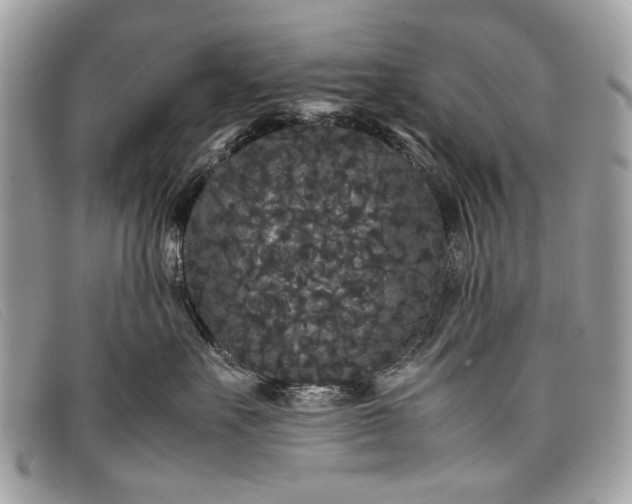 X0000098020527200804111301