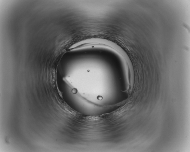 X0000098020528200804111301