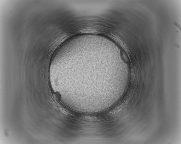 X0000098020529200804111300