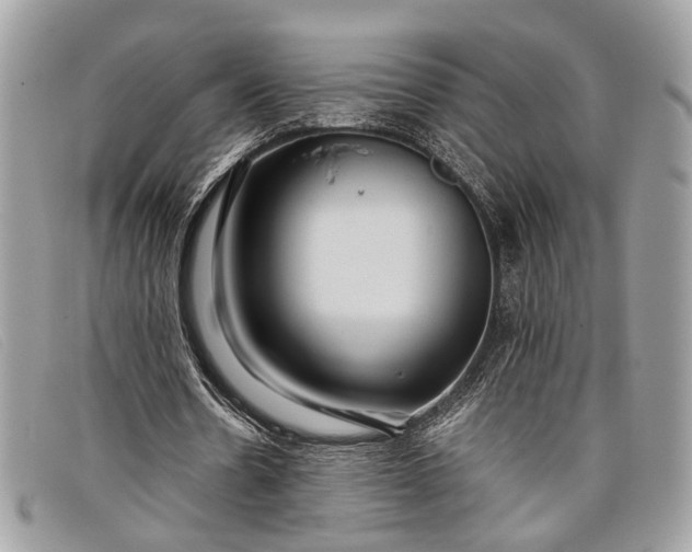 X0000098020530200804111300