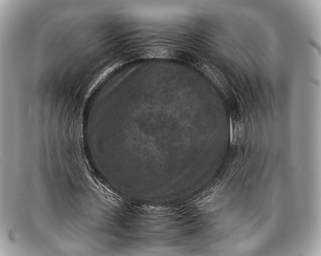 X0000098020531200804111300