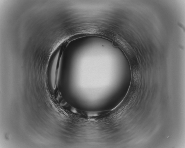 X0000098020532200804111300