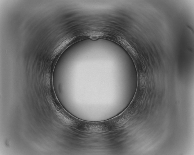 X0000098020533200804111300