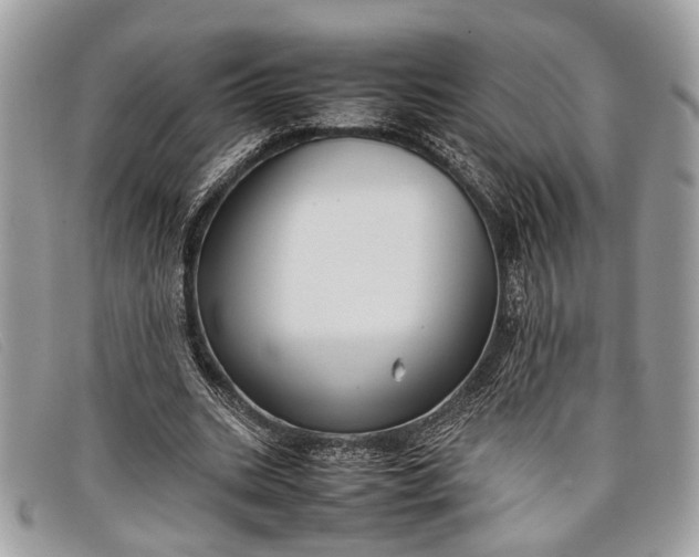 X0000098020535200804111300