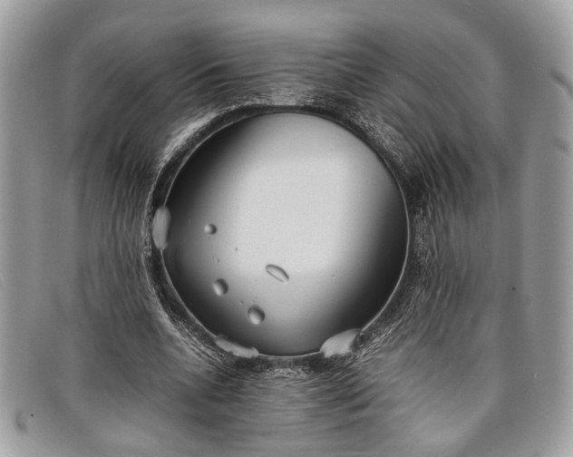 X0000098020536200804111300