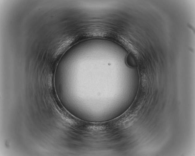 X0000098020537200804111300