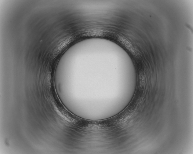 X0000098020538200804111300